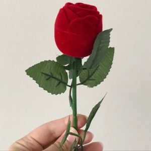 NEW| Rose Ring Box